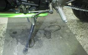 KAWASAKI NINJA 250 EX250L