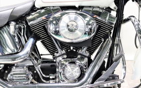HARLEY FLSTF 2001 BMY