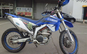 YAMAHA WR250R DG15J