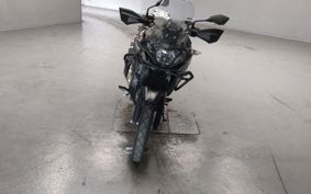KAWASAKI VERSYS-X 250 LE250D