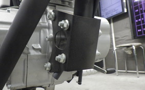 OTHER +UNREGISTERED MODEL by BDS125 2023