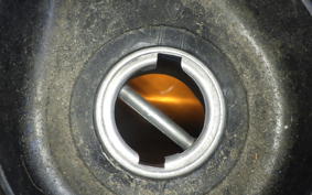 HONDA LEAD 110 2024 JF19