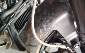 HARLEY FLTRXSTSE CVO 2025 TL8