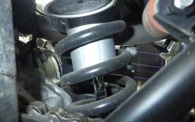 YAMAHA WR250X DG15J