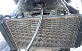 KAWASAKI ELIMINATOR 250 V VN250A