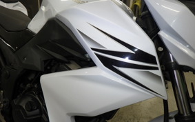 KAWASAKI Z250 ER250C