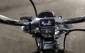 HARLEY FXST1750 2020 BVJ