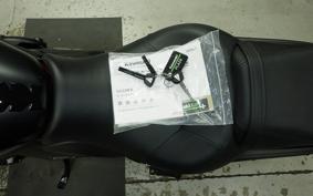 KAWASAKI VULCAN 650 SA 2024 EN650M