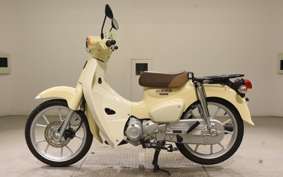 HONDA C110 SUPER CUB 2009 JA59