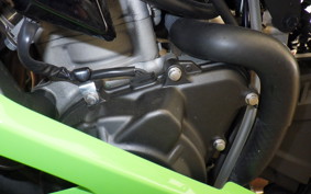 KAWASAKI ZX-4RR 2025 ZX400P