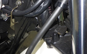 KAWASAKI 250TR 2016 BJ250F