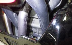 HONDA CRF250 RALLY A 2026 MD44