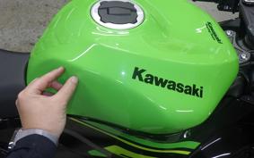 KAWASAKI NINJA ZX-6R A 2019 ZX636G