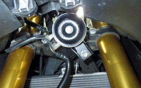 YAMAHA YZF-R25 RG43J