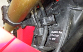 HONDA CRF250 RALLY 2026 MD44