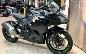 KAWASAKI NINJA 250 EX250P