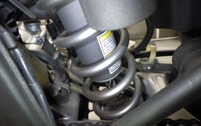 KAWASAKI KLX250D TRACKER X 2025 LX250V