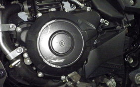 SUZUKI Vｽﾄﾛｰﾑ250 2010