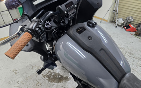 HARLEY FXLRST 2022 YXZ