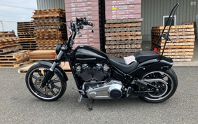 HARLEY FXBRS 2021 YHK