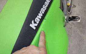 KAWASAKI KX250 2026 KX252C