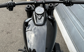 HARLEY  HARLEY FXFBS 2025 YLK