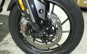 TRIUMPH TIGER 900 GT 2026