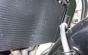 YAMAHA XSR900 2024 RN80J