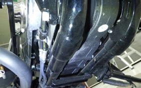 HARLEY XL1200XS 2019