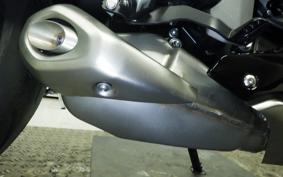 TRIUMPH DAYTONA660 2026