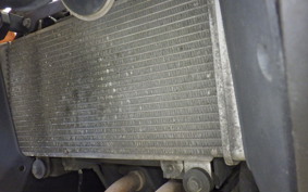 KAWASAKI NINJA 250 ABS EX250L