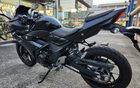 SUZUKI GSX250 R DN11A
