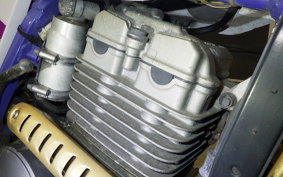 YAMAHA TT250R RAID 4GY