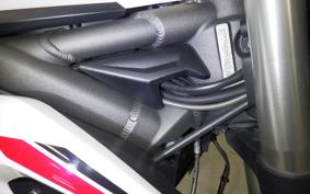 TRIUMPH STREET TRIPLE S 2021