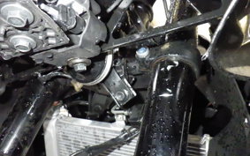 YAMAHA YZF-R25 A RG95J