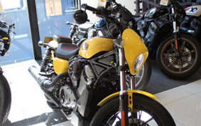 HARLEY  HARLEY RH975S NIGHT  STAR  2023 ZF1