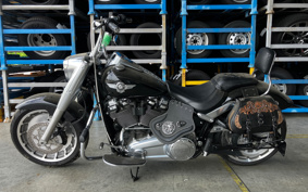 HARLEY FLFBS YGK