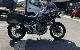 TRIUMPH TIGER 1200GT PRO 2023 TAP22V
