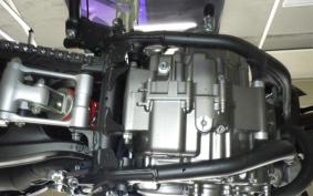 HONDA CRF250L 2019 MD47