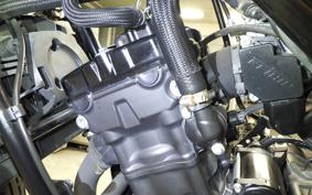 HONDA REBEL 250 2008 MC49