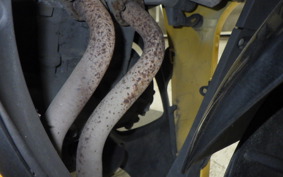 YAMAHA YZF-R25 2024 RG10J