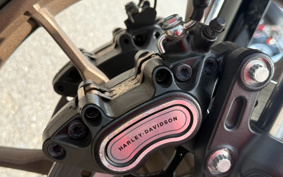 HARLEY FXLRST 2024 YXZ