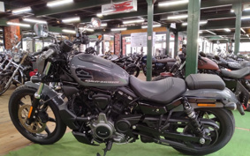 HARLEY  HARLEY RH975 NIGHT  STAR  2022 ZH1