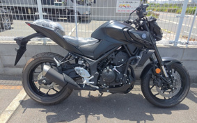 YAMAHA MT-25 RG74J