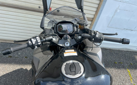 KAWASAKI NINJA 1000 SX 2024 ZXT02K