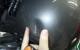 HARLEY FXLR1750 2019