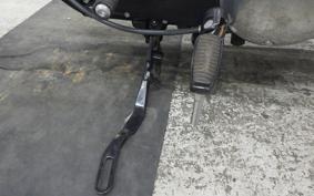 HARLEY XL883N 2018