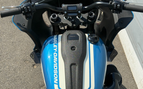 HARLEY FXLRST 2023 YXZ