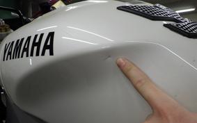 YAMAHA XSR900 GP 2024 RN96J
