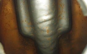 SUZUKI T500 2010 T500